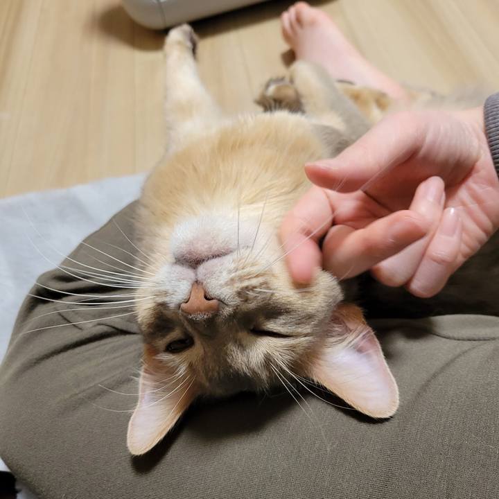 58f8c822 5a25 4ff1 93ad 43a6f983701d 1645188114289