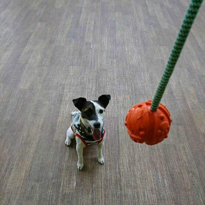 58f8e724 a299 4b96 83a1 78943526c9fd 1532167794260