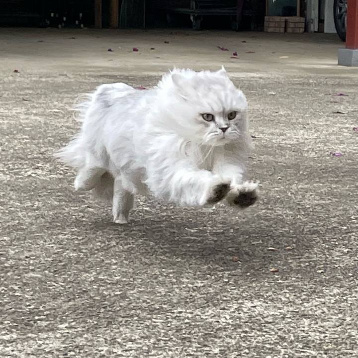 58f90bbb 7279 4095 878b 3541f582bc1f 1652597405209