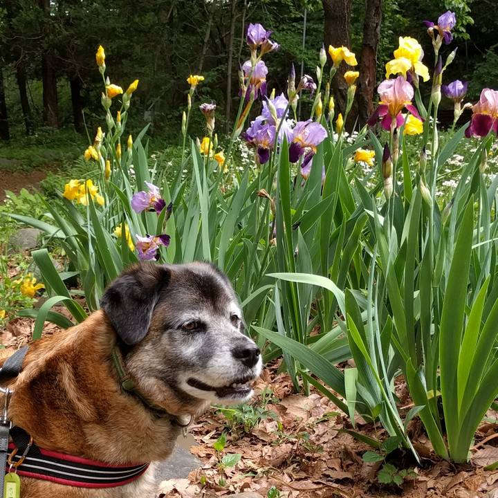 58f9324f 0435 4a89 9e3d 062dd4e7b230 1524794758934