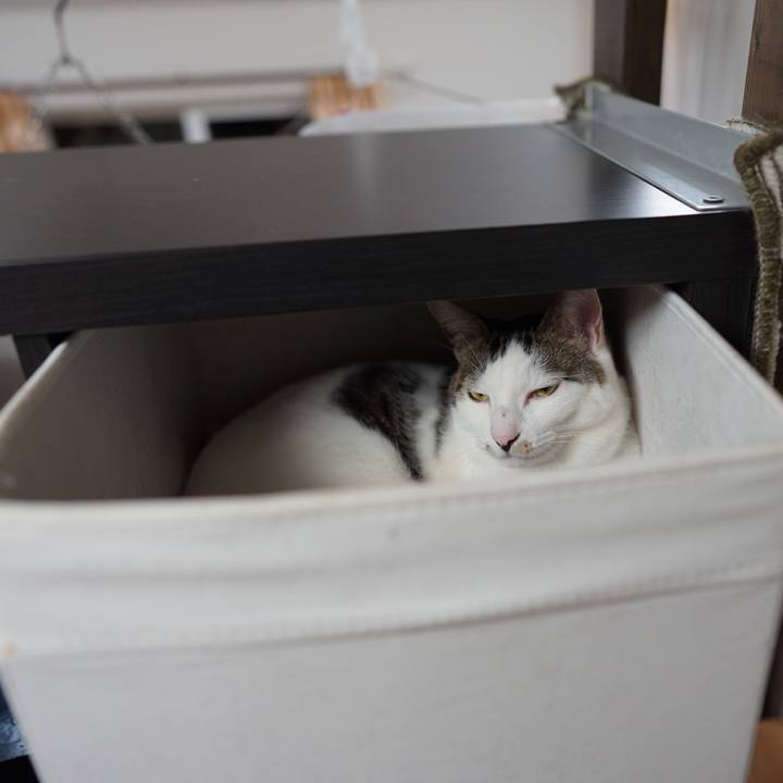 58f954af 97cc 4a57 bef8 1e5de3cee248 1550806202621