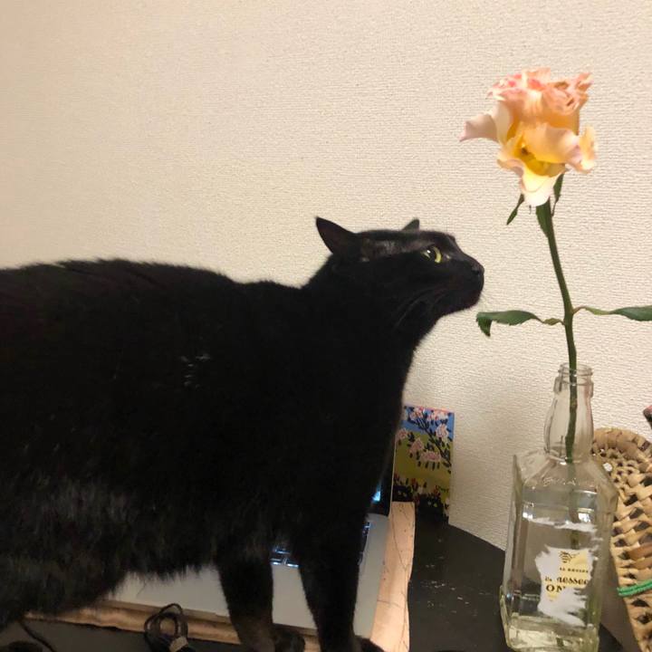 58f95db9 61c3 48ee 8639 209bc14c68ec 1551963602148