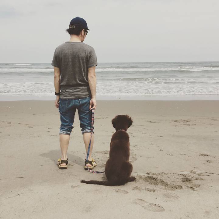 58f970ac cc5a 4aab b998 5b66faff5b90 1557478797686