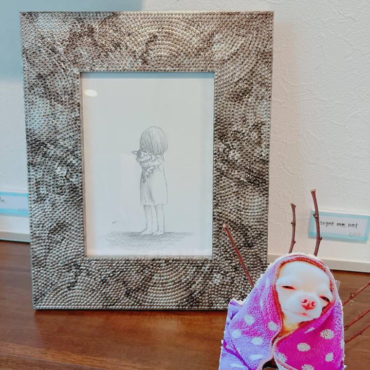 58f99eec 830c 4104 af18 9d1071d45712 1653385965368