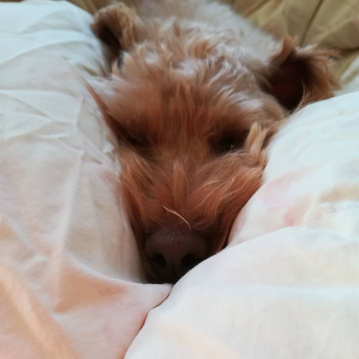 58f9a6e3 e01f 4e0a 8acf a579c64d5d1a 1572756031304