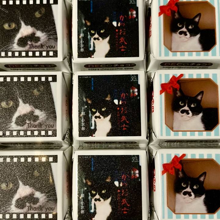 58f9a951 3c4c 44de 944a bf596f3f4380 1700817698302