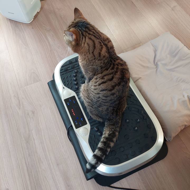 58f9cb22 959a 4518 a306 f7c6459b1116 1641164216825