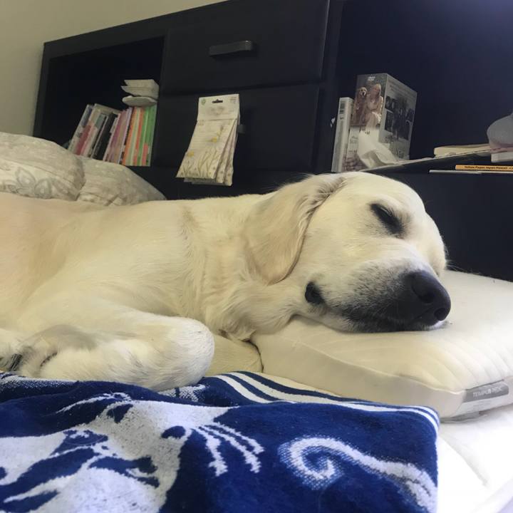 58f9cb25 be1e 45dd af14 545f683600ba 1533456028968