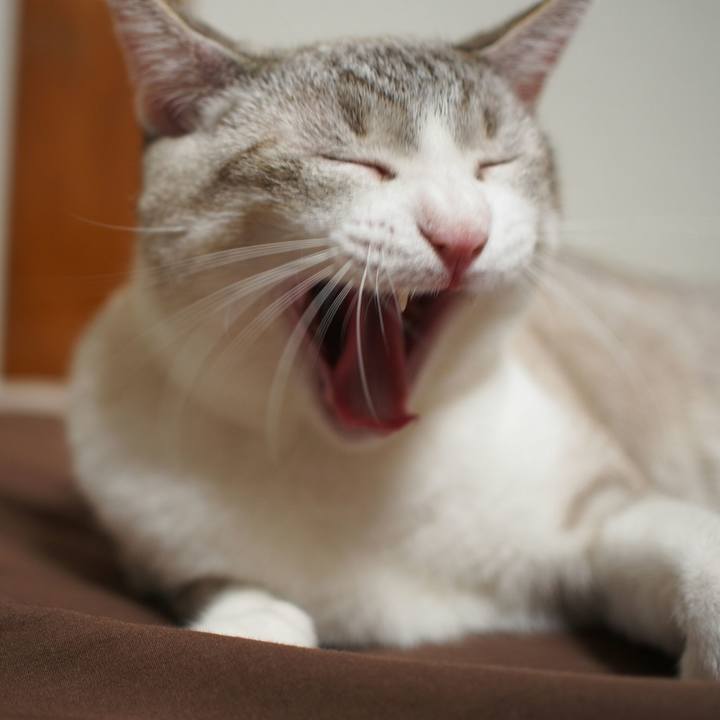 58f9d64d d8f7 433f ac31 3060711172e3 1533394903704