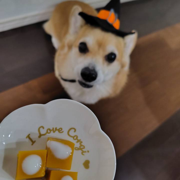 58f9f2ad 4ad6 4112 97b2 c283084fe9f5 1761910116629