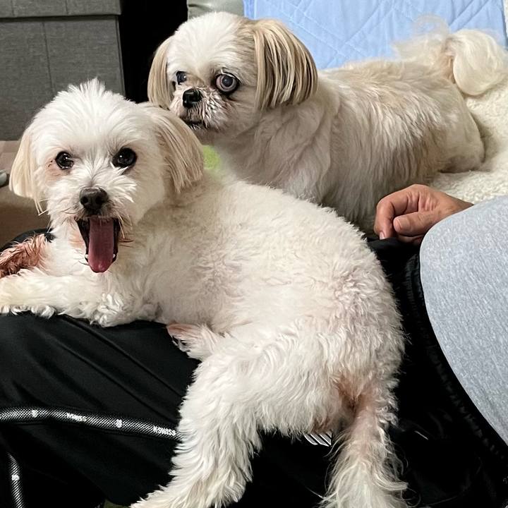 58fa127d 65d4 48a7 abf8 c08c69e6da60 1695472028413