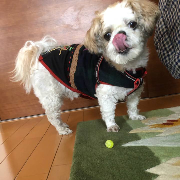 58fa32d0 388e 4f80 b336 7479d2a34fda 1615327244954