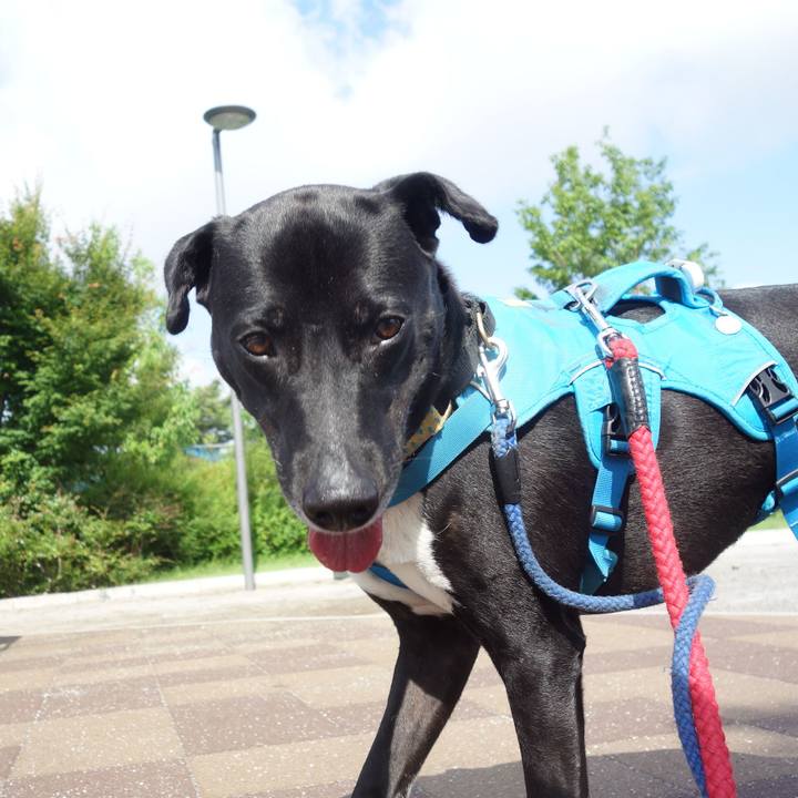 58fa4fdb 0998 4888 b4be e6f9f8d26010 1622508475902