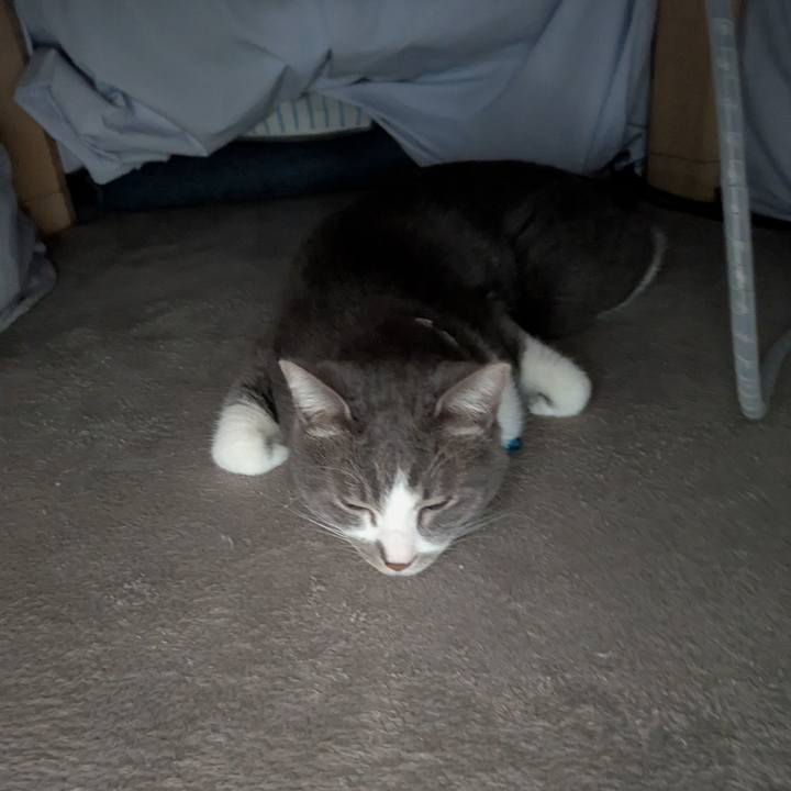 58fa66ab 10f1 4ccc 9bde cf5febb39cf6 1769479831277