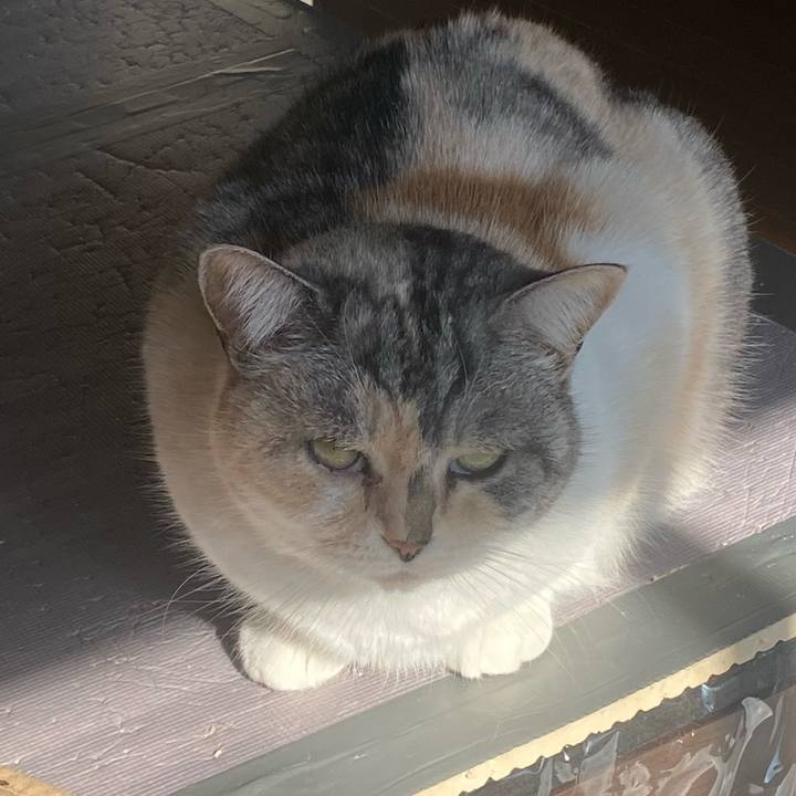 58fa787f f8f9 463b 83fc 13165d339030 1673149191944