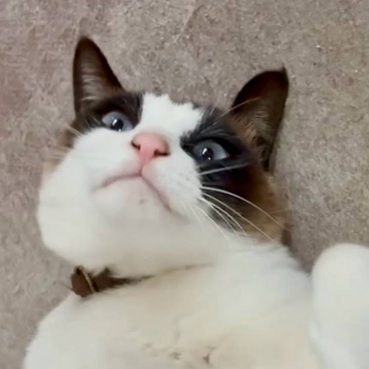 58fa7cb6 aa2d 42ed 9db6 c205ecc7199c 1746584825954