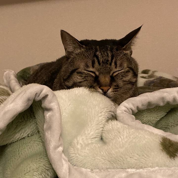 58fac436 f206 43f1 b6c9 281a293b700b 1639469548281