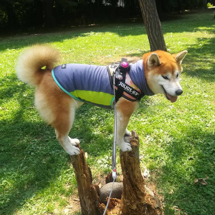 58faceff 6066 4410 a632 ebb064abb20b 1564802631331