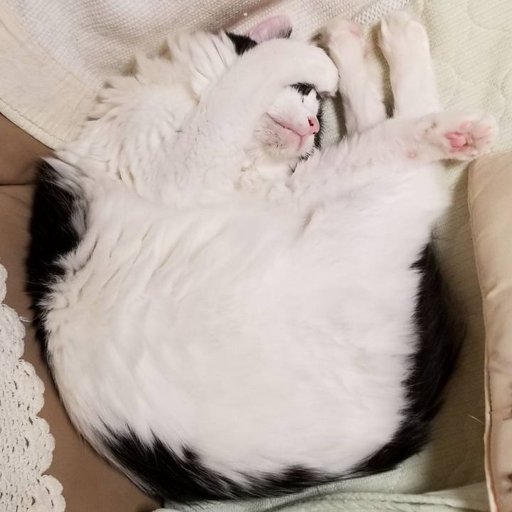 58fb3562 3910 4e7a b02e 0b6b2a772863 1581546742546