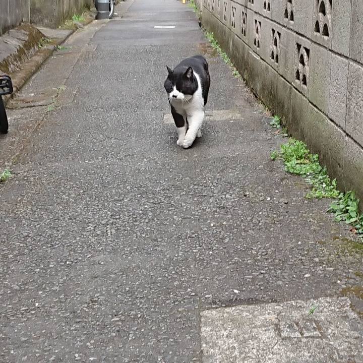 58fb3a12 cc97 460a 92c9 cd596b1ca650 1678663380928