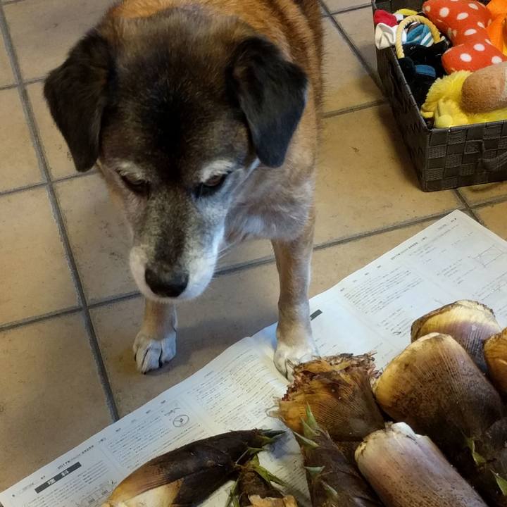 58fb580c 0ead 4763 8ba9 aaf24b05cba2 1556363792904