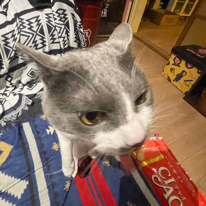 58fb79a2 ed0f 4c07 9ebe 4b514992d1cb 1679044186120