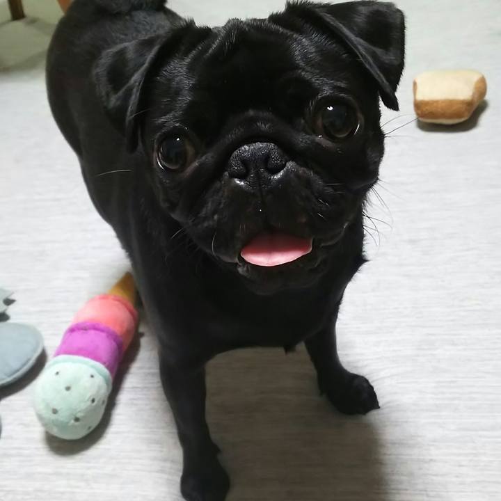 58fb7cae c72d 4c81 96f8 6f3175b01b6f 1533476315617