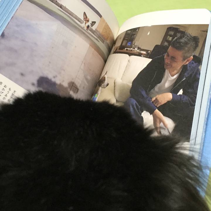 58fb7e50 0a1c 4bb9 94f6 3f09ab6e3fa3 1525090913478