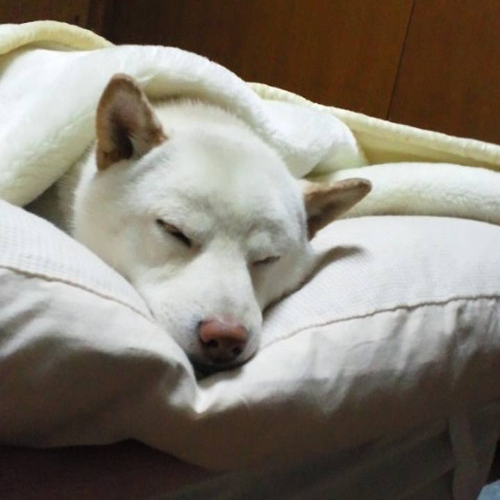 58fbe45d 9f36 4f96 a714 7433c0b4a742 1650731641480