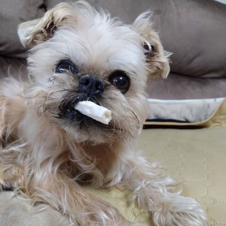 58fc3349 5e4c 47dd 92fb 7d90bc6ca3e1 1711162898903