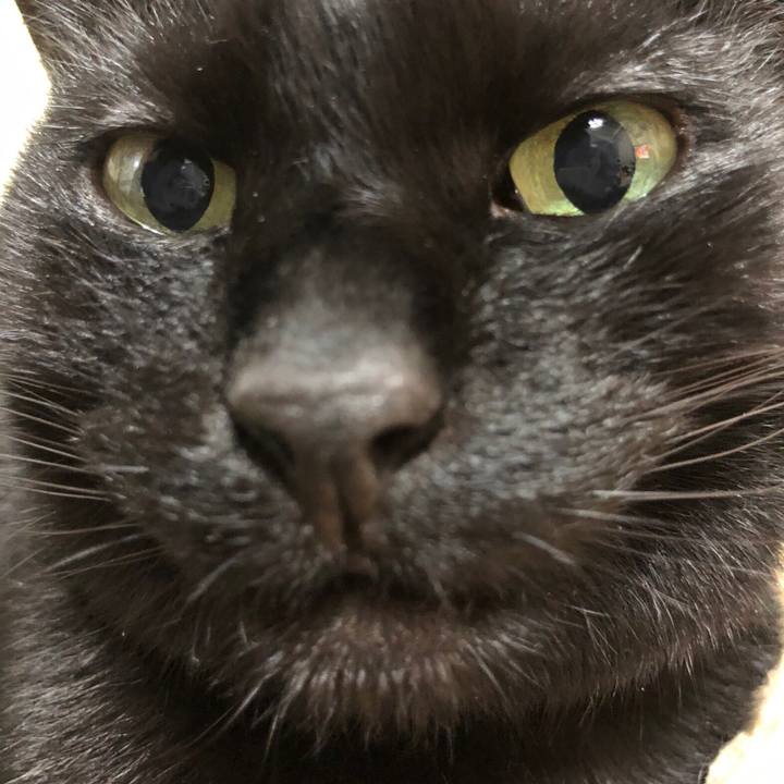 58fc3c88 bf65 432a 8d73 3d1e368b2db2 1616245130631