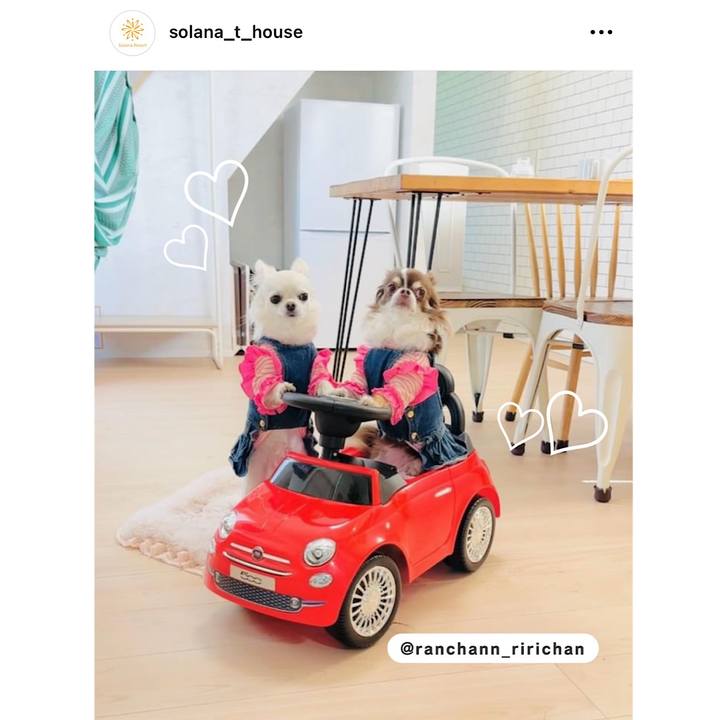 58fc7002 94e3 4bcf b7c6 fd2f66cafa32 1717977547194