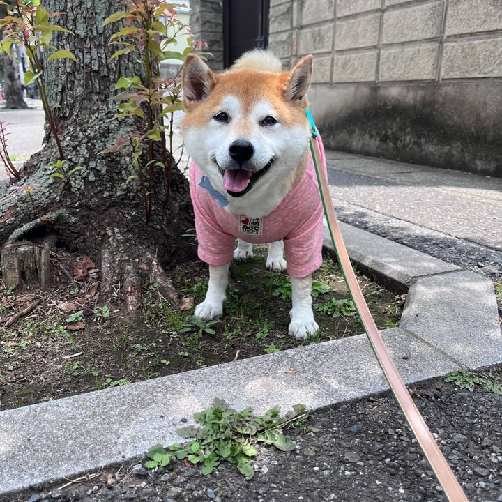 58fc94d4 3c59 4ab0 a42c d8078665aacf 1717729544377