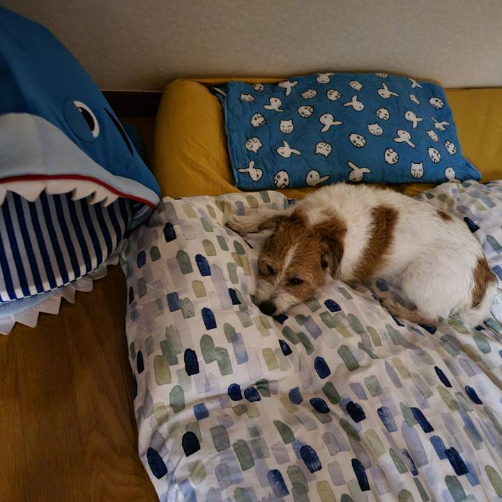 58fcd0e6 1c7b 49b3 8f95 442117c5b770 1699130876488