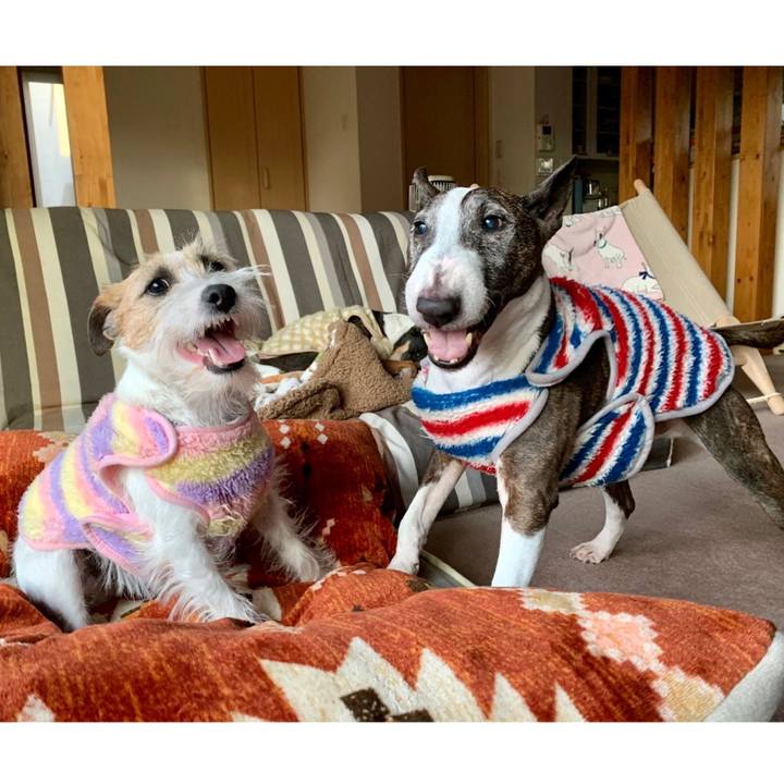 58fcdaa0 69d1 42df 9af6 c5ee1056bc80 1610319109214