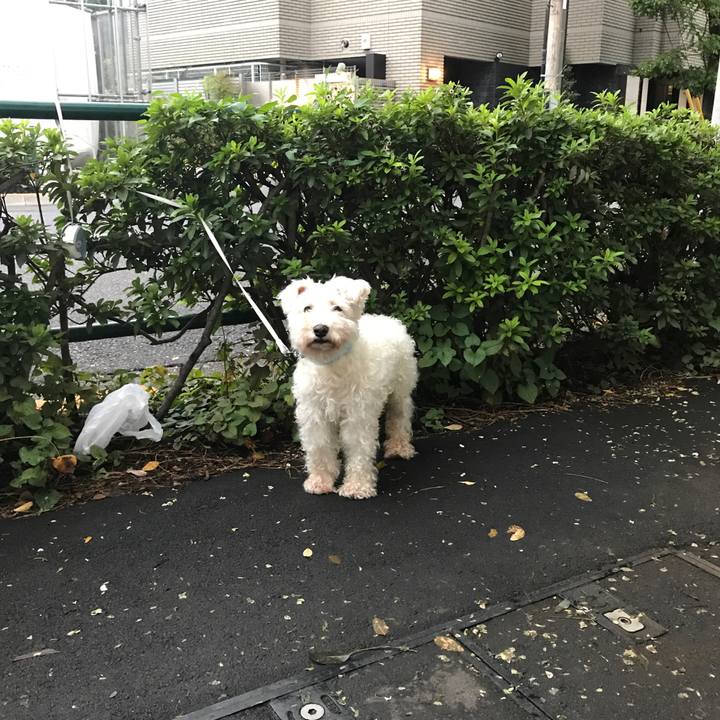 58fcf569 3cf8 45b4 8706 3eecbcd8cda1 1508027312910