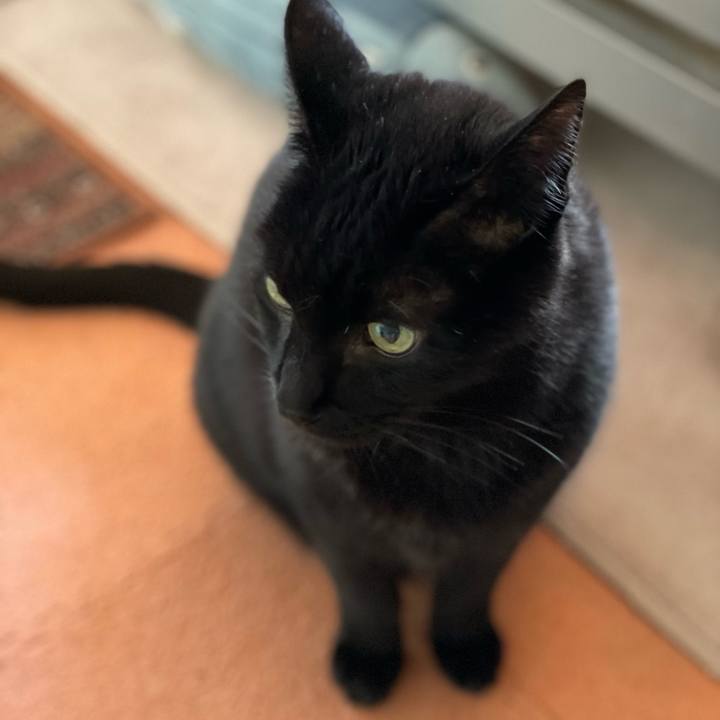 58fd0196 ab98 491a b463 cdd85ec4e32f 1640831086035