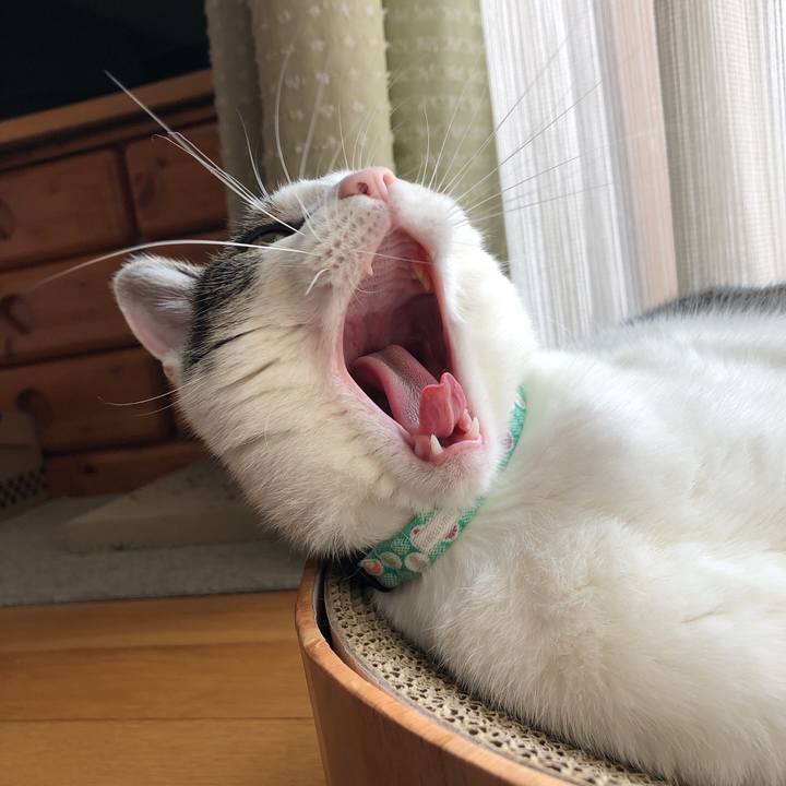 58fd1570 19ff 4946 bea6 a8d3f14848da 1633916913085