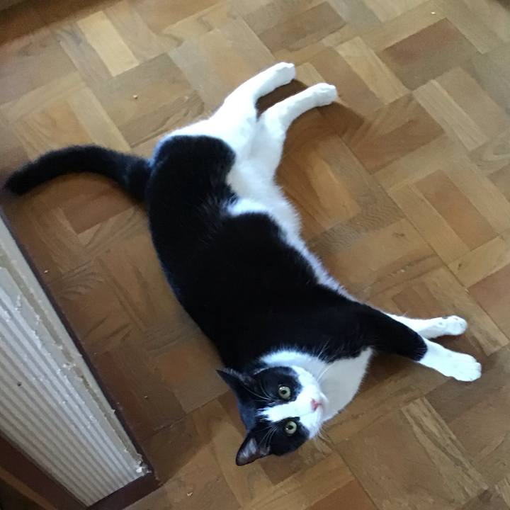 58fd2d24 0822 4d75 9524 ce382a4abe30 1753780575885