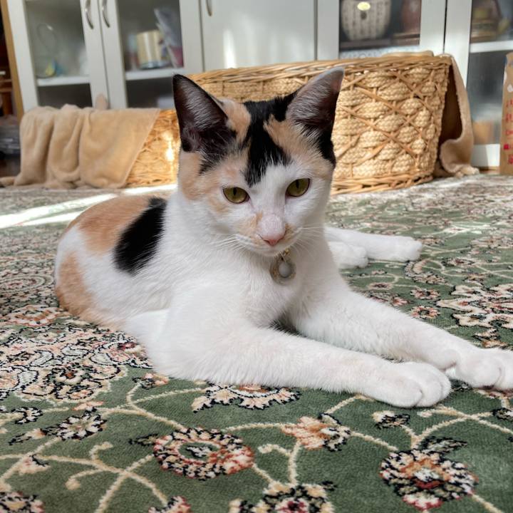 58fd338f fefc 4ab0 aa3b a4eadeebe584 1674870652346