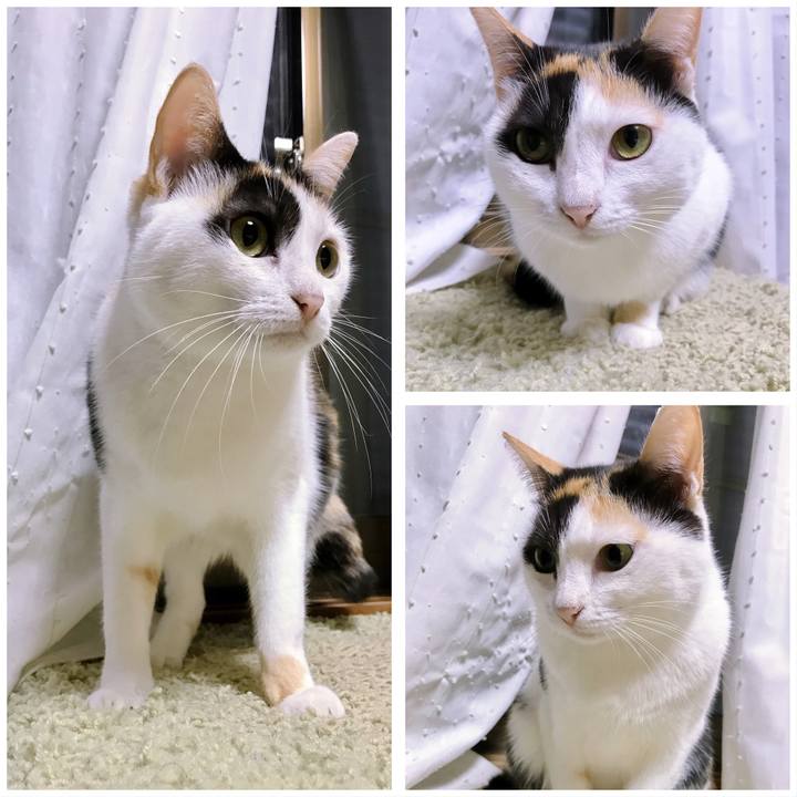 58fd5d6f 69bc 458f 87cd 633338797db5 1508553038393