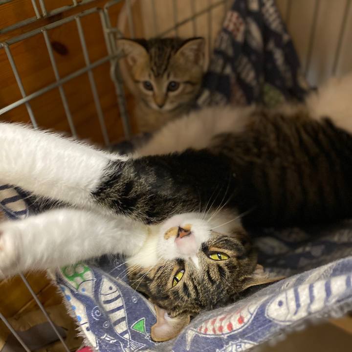 58fd6ffd 420a 4ad1 85d0 cb1d3de89b60 1598678791108