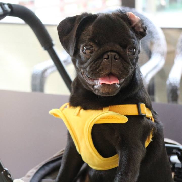 58fd87d0 be90 488f b2d6 06d0b1f3ddcb 1596757998898