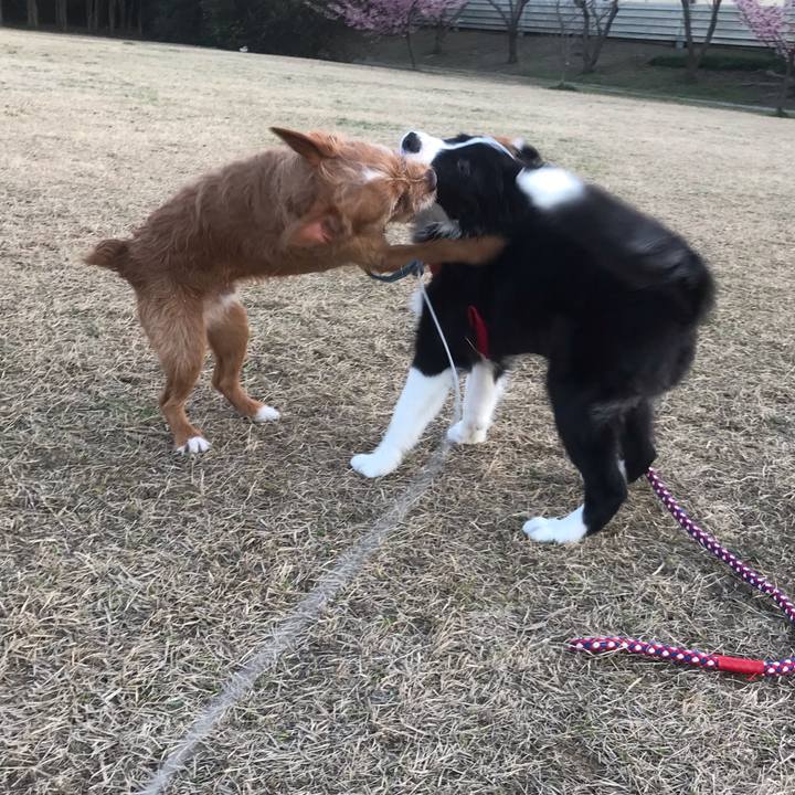 58fd92f6 b278 415b 95ca 362439a94621 1583279629378