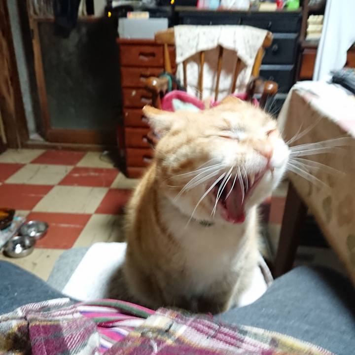 58fd9de1 9dc6 4ff9 86f8 86c9e9674eb8 1581885993306