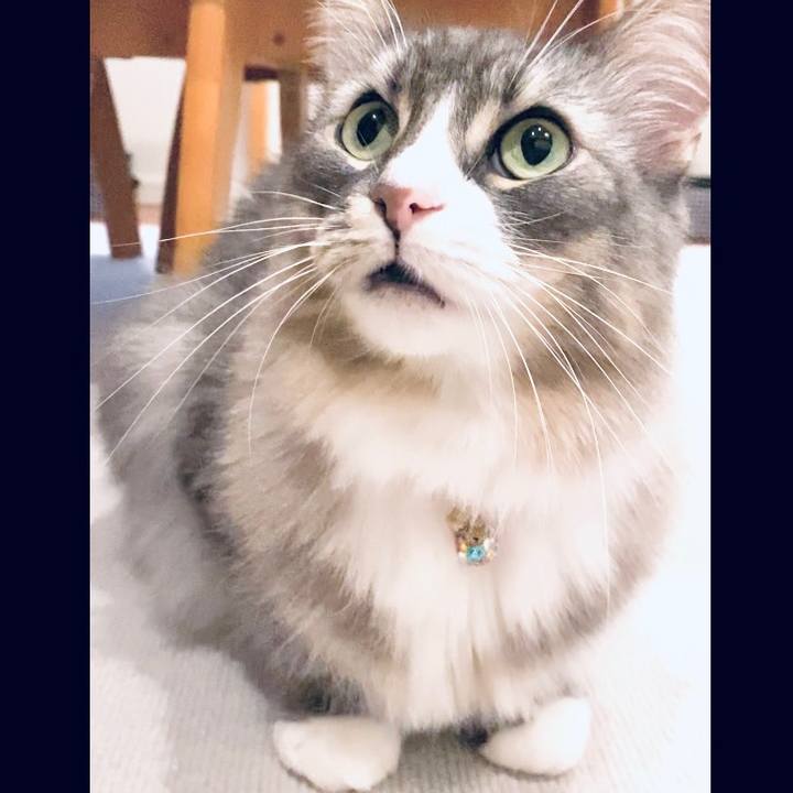 58fddfc9 d257 4386 b4b7 825c2d1f29e2 1694105935907