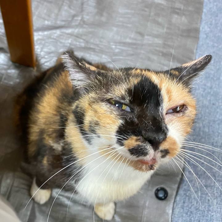 58fe137b 8d6d 4541 9faa 165b2d65fab4 1658061983954