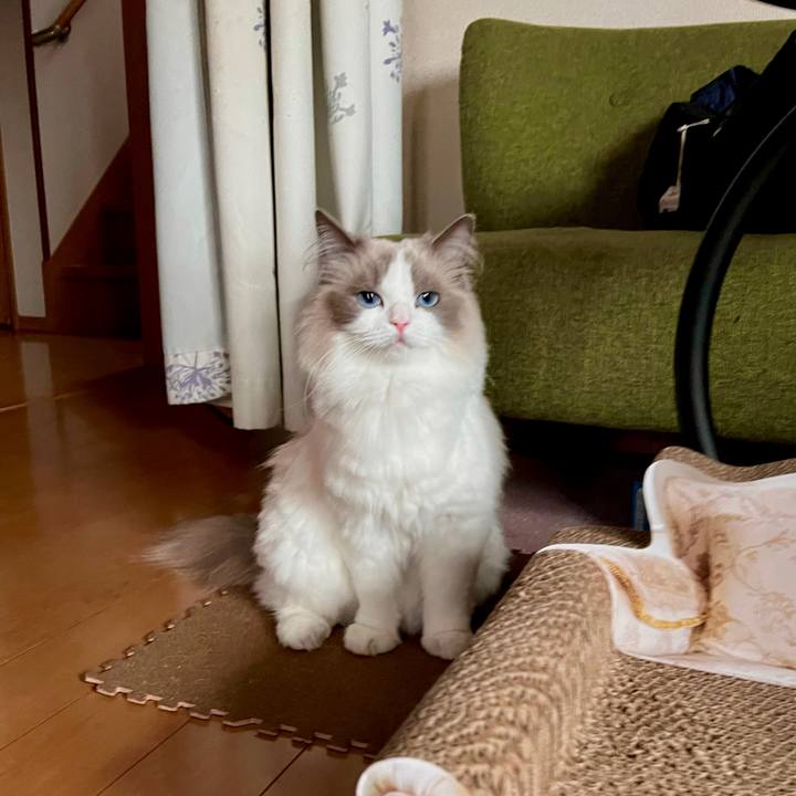 58fe5a22 675f 4312 aceb e4bdbcb79f08 1687426608962