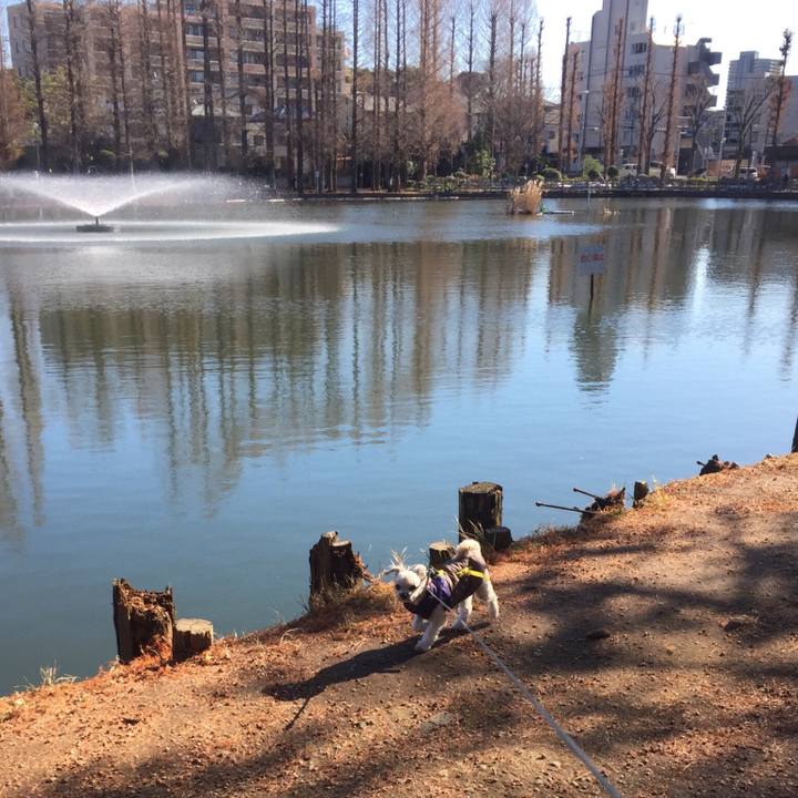 58fe5bea 4db2 4eb3 95a6 a080fecb62d8 1514544830579