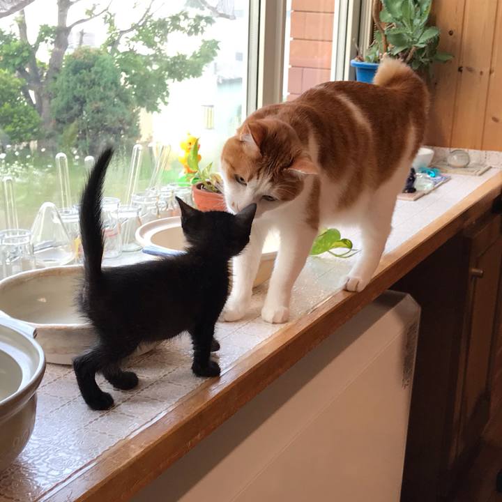 58fe64b6 99ae 40b6 acbd e7ef1883b1bd 1561406035213